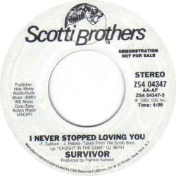 Survivor : I Never Stopped Loving You